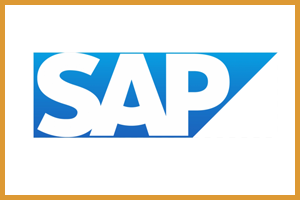 SAP Support and Development